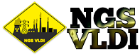 NGS VLDI LTD